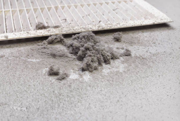 Best Ventilation Cleaning Services  in Tallahassee, FL